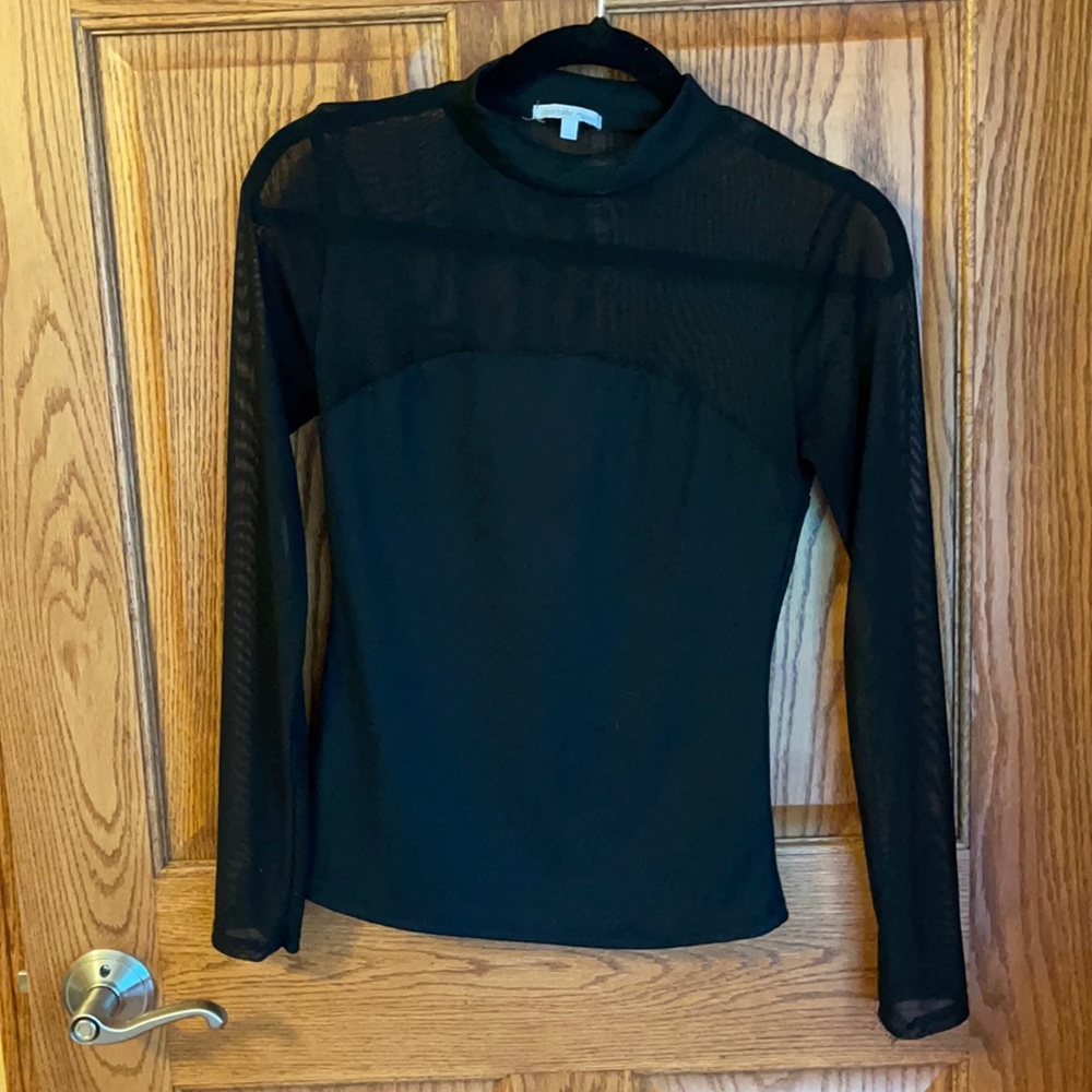 Sheer Mock Turtleneck